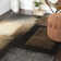Helfrich Oriental Indoor Rug