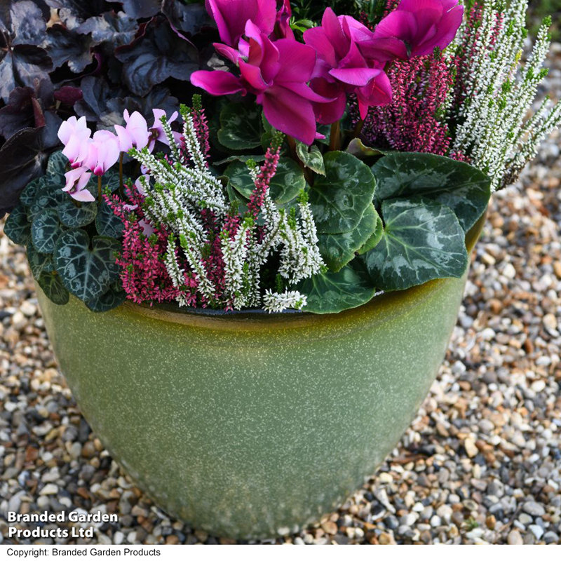 Pot Planter, Green