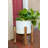 Borquez Handmade Ceramic Pot Planter-1482517070