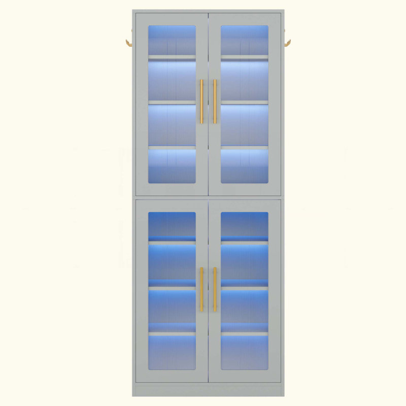 Bibliothèque avec portes, armoire de rangement à DEL et 8 tablettes réglables pour le salon, le bureau, la chambre à coucher