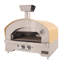 Outdoor/Indoor Portable Propane Gas Pizza Oven-73359469