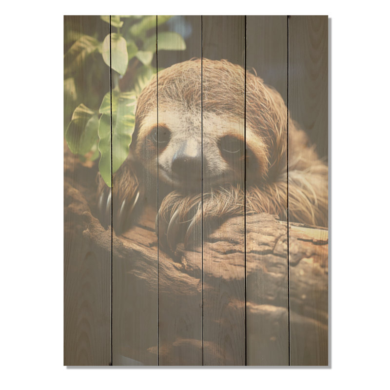 Paresseux rustique - paresseux, art sur bois de pin naturel, H 40 po x l 30 po