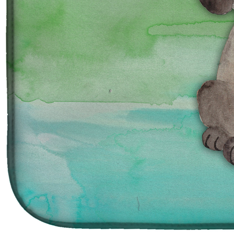 Drying Mat