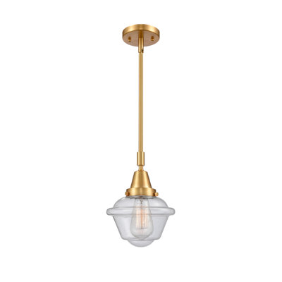 Luminaire suspendu simple à 1 lumière