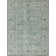 Oriental Area Rug in Blue
