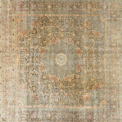 Antonella Oriental Indoor Rug