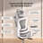 C300 Computer Chair, Ergonomic Chair with 4D Armrests , Dynamic Lumbar Support, for Home & Gaming-693390007
