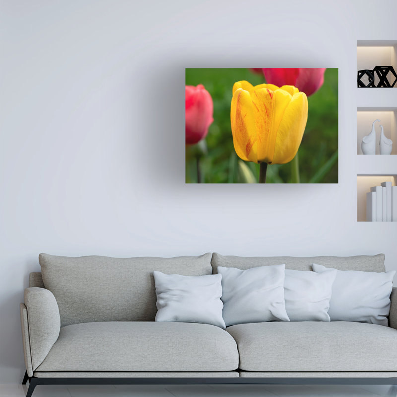 Art sur toile Suzanne Bonin, 24" H x 32" W