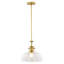 Luminaire suspendu en forme de dôme à 1 lumière Manville-1160095595-1093297508