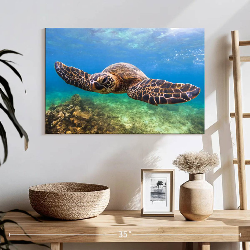 Crowle Flapping Turtle, 16" H x 24" W