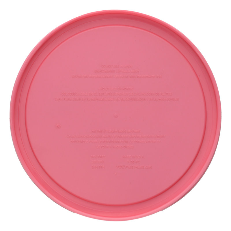 4 Cup Food Storage Container, Retro Pink Pantone