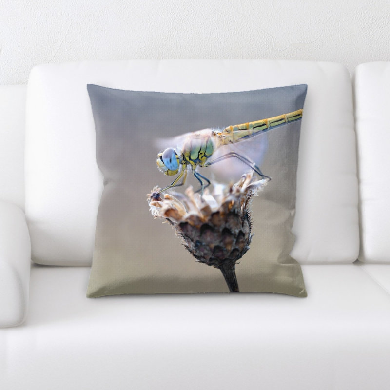 Coussin décoratif libellule early health