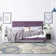 Iser Oriental Indoor Rug