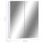 Nayini 60mm W 75mm H Surface Frameless Medicine Cabinet Mirror 3 Fixed