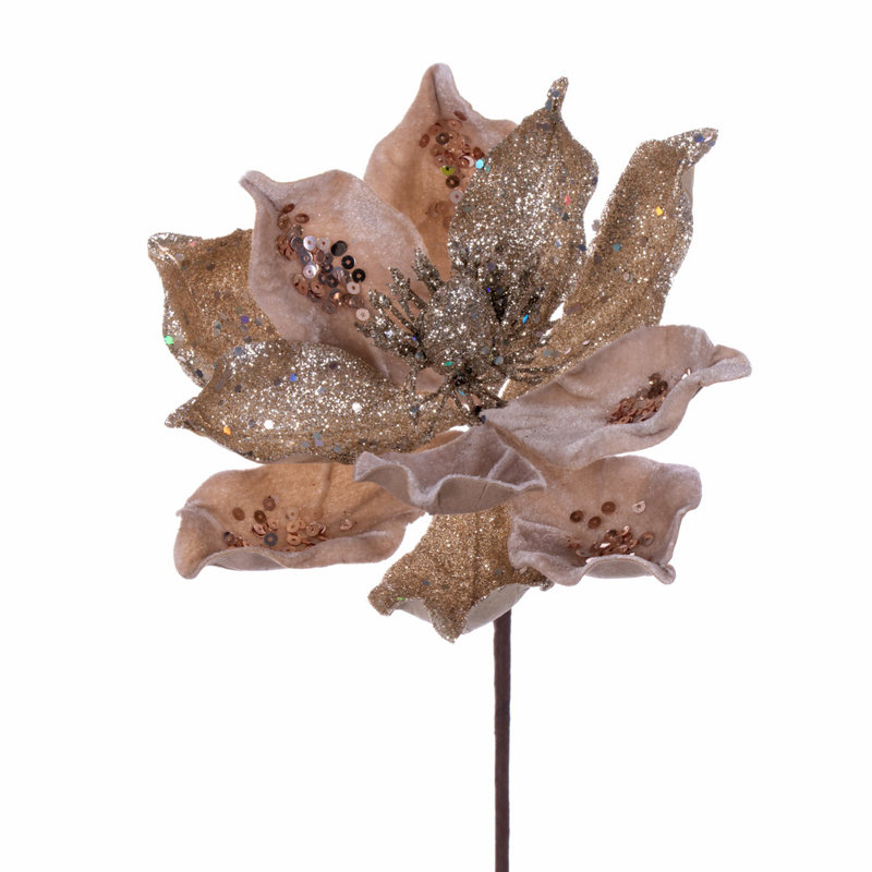 Tige de magnolia, Champagne