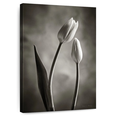 Harnek Two Tone Tulips III