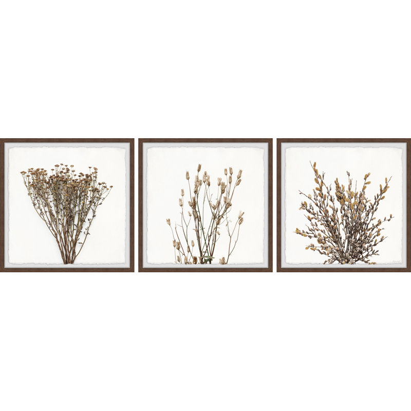 Triptyque branches brunes, H 12 po x l 12 po