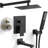 12-Inch High Pressure Wall Mounted Rain Shower System with Handheld Shower Head, Tub Spout, and Rough-In Valve-122464932
