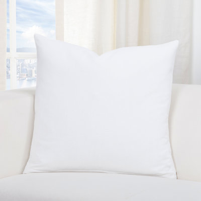 Everlast Throw Pillow