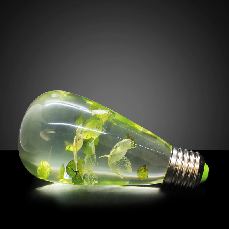 1,5 W (1 watt équivalent), ampoule à DEL ST64, intensité non variable, blanc chaud (6 000 K) E26 / culot moyen (standard)