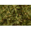 7.5 ft. PowerConnect Tiffany Fir Tree with Dual Color LED Lights