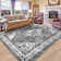 Nimete Oriental Indoor Rug