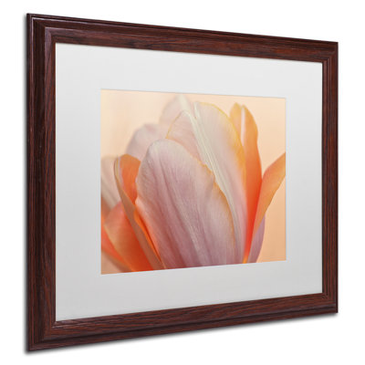 " Orange Glowing Tulip " by Cora Niele Acrylic Print