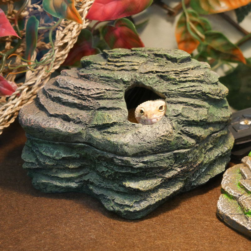 Reptile Herp Haven , Moyen