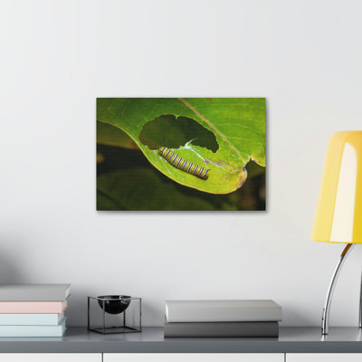Chenille, chenille, chasse sur chenille, reproduction d'art mural