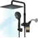 10 Inch Filtered Shower Head With Handheld 3-Way Rain Shower Head With Filters