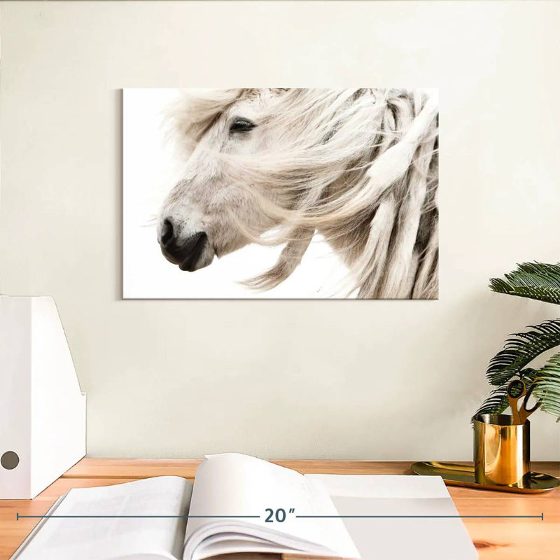 Brampt White Horse Mane, 8" H x 12" W