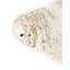 Tapis Melt Moxie