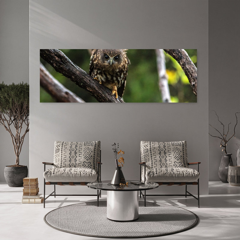 Oiseau hibou contemporain, H 20 po x l 60 po