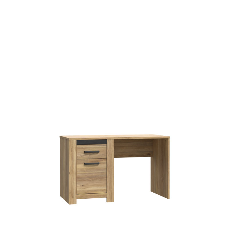 Bergenfield 120Cm W Rectangle Computer Desk with Cabinet