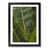Black Framed selected