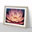 Blissful Lotus Flower - Framed Print-71033893-71033892