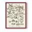 Sepia Botanical Journal II Framed Print - Solid Wood-816759327-816759326