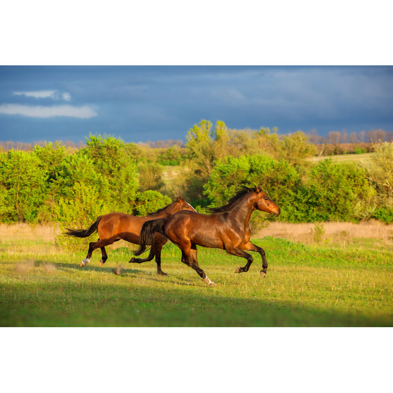 Horses Grazing by Ashva - Wrapped Canvas Print, 20cm H x 30cm W