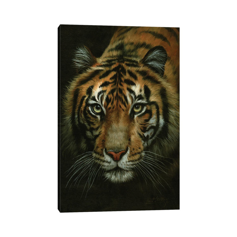 Tiger Portrait 1 Piece Wall Art on Canvas, 20.32 cm H x 30.48 cm W, Wrapped Canvas