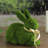 Easter Figurines & Collectibles
