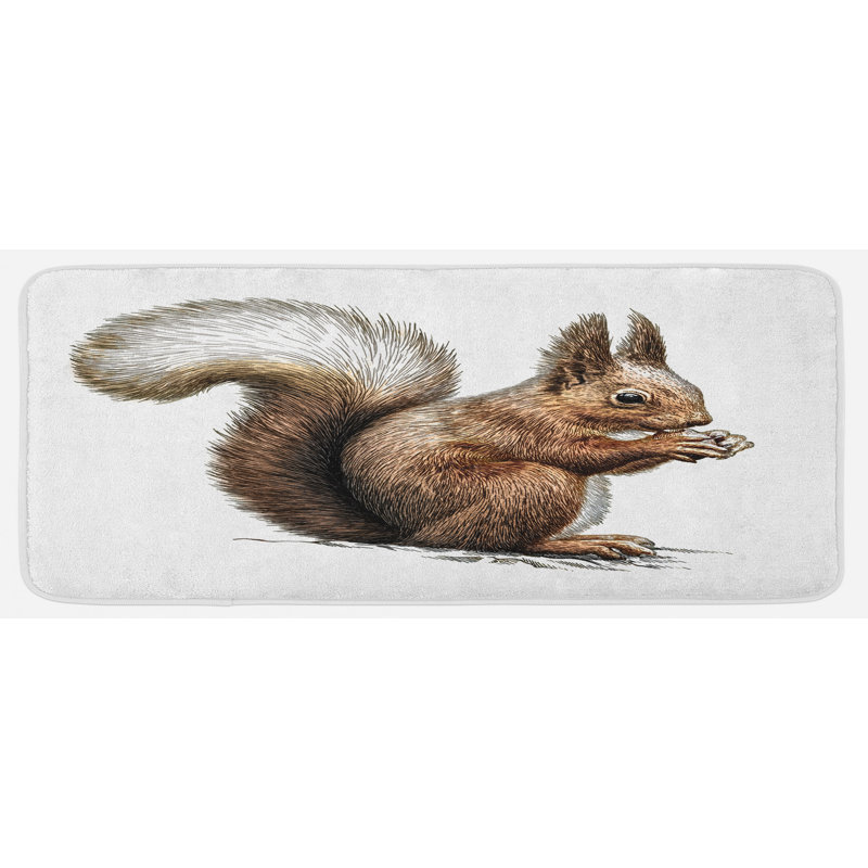 Tapis de cuisine Squirrel