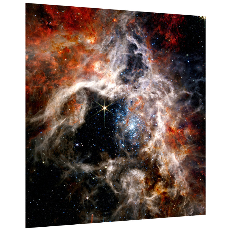 " The Tarantula Nebula "