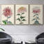 Antique Turpin Botanical VII - Ensemble de 3 reproductions de photos sur toile-97759590-97759592