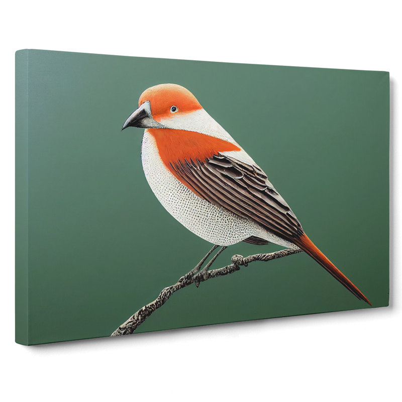 Engaging Bird - Wrapped Canvas, 35cm H x 50cm W x 3cm D