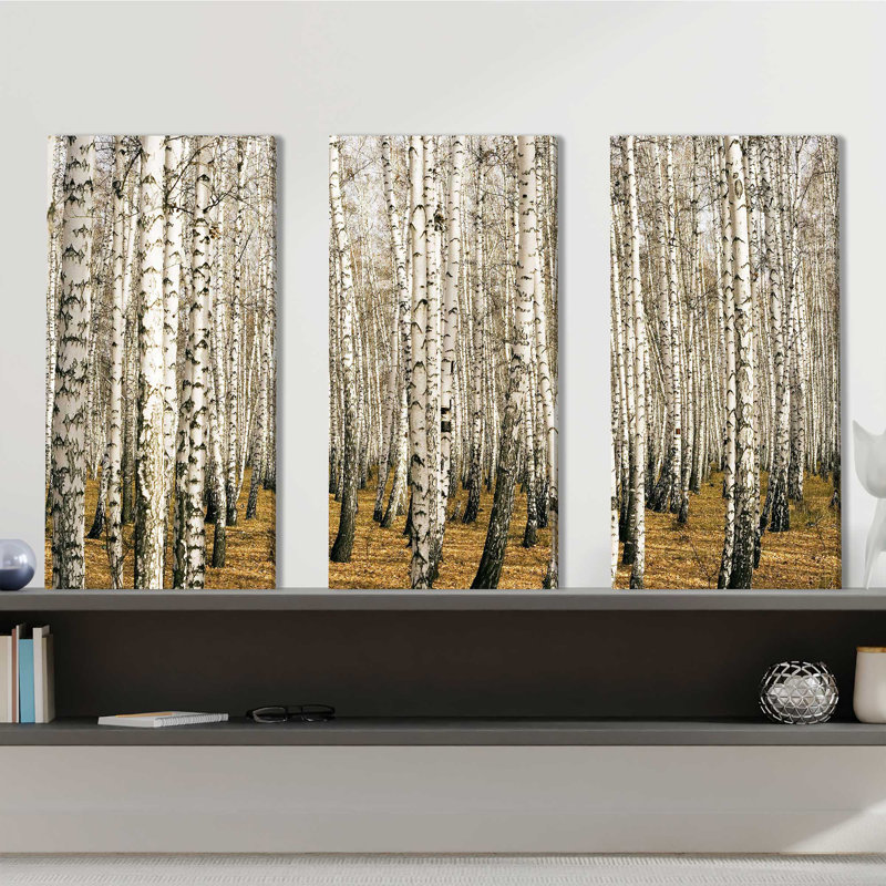 Birch Trees 3 - Reproduction de photo sur toile tendue à images multiples