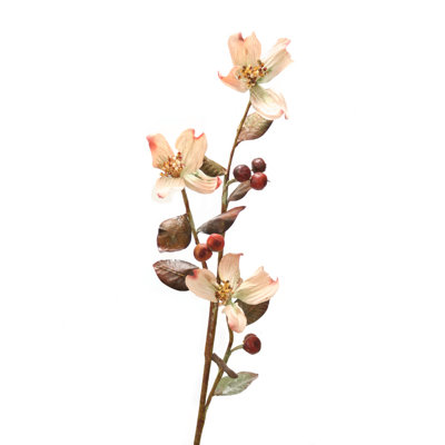 Cornouiller avec baies - Beige