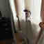 Photos des clients 2 de 3