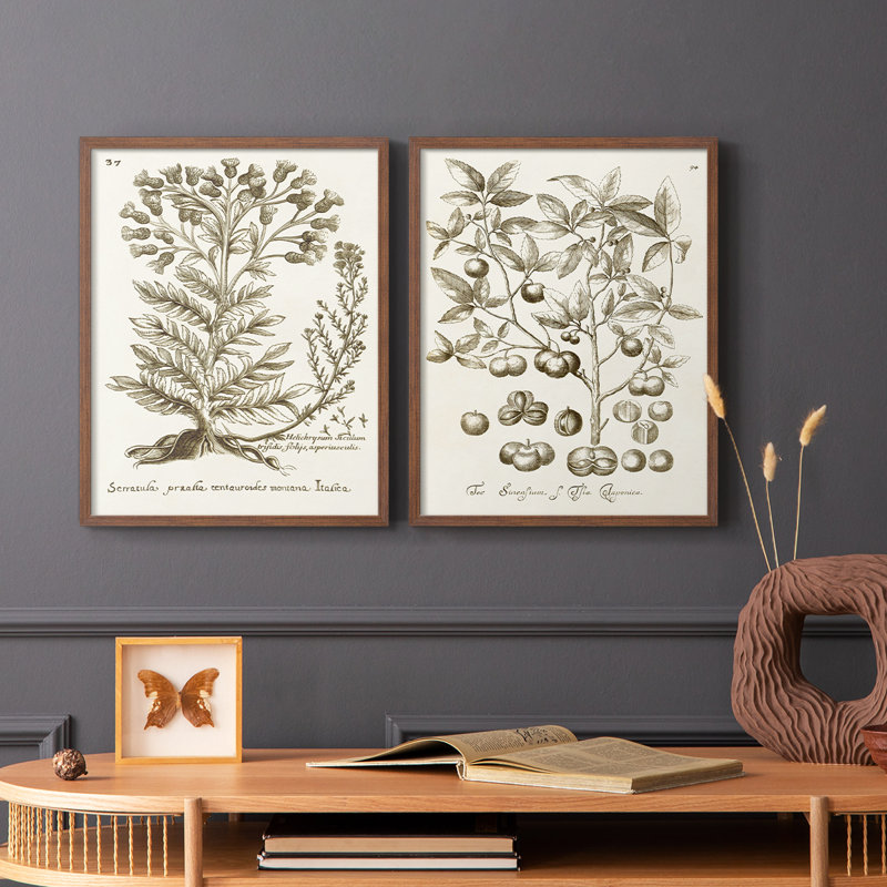 «Sepia Botanical Journal I», reproduction encadrée de qualité supérieure - prête à être accrochée - aucun clou requis - aucun clou requis