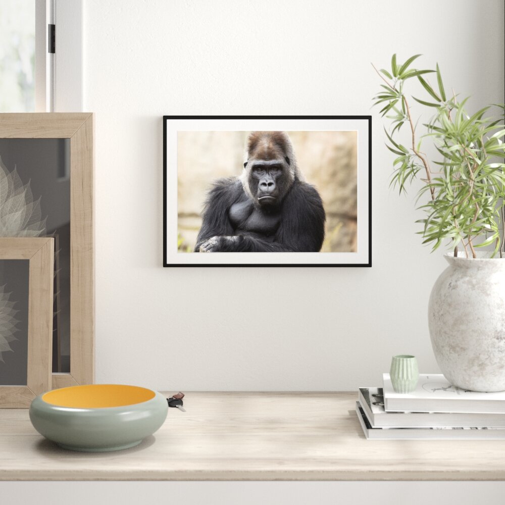 Gerahmtes Poster Gelangweilter Gorilla