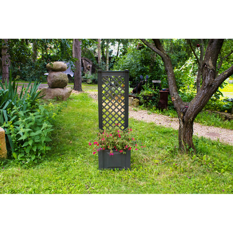 Aalisha Plastic Outdoor Planter Box, Anthracite, Set of 1